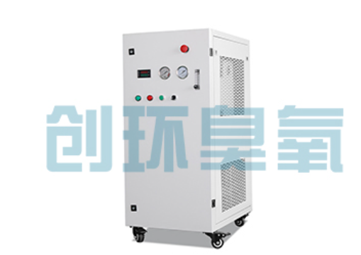 上海石斑鱼养殖水质调控完整指南：臭氧发生器配置与操作步骤