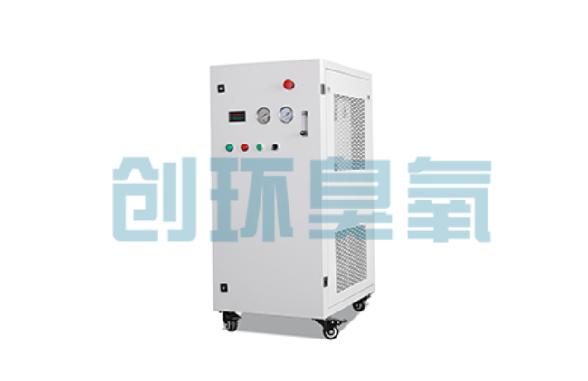 上海比传统换水更高效？臭氧发生器在石斑鱼养殖中的水质净化原理解析